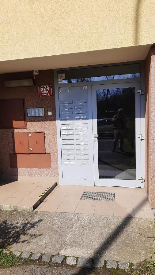 Apartamento Kamyk *